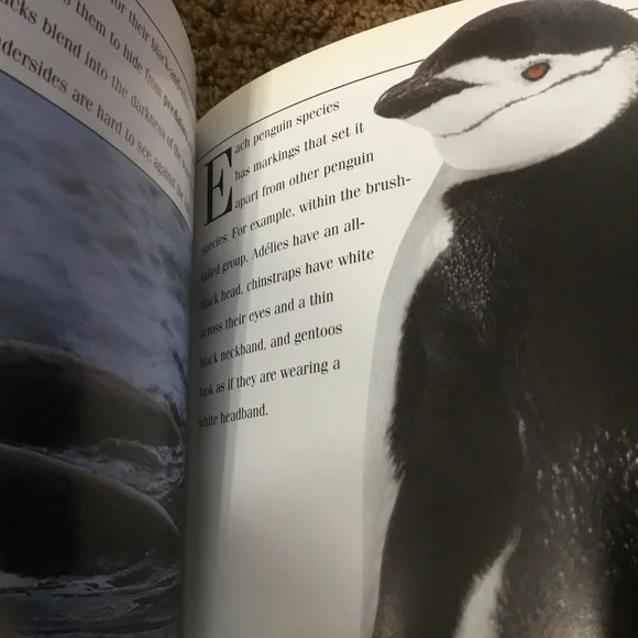 Penguins by Lenore Franzen (Let’s Investigate) - Picture 3 of 3